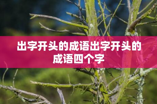 出字开头的成语出字开头的成语四个字