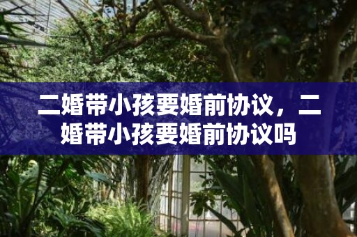 二婚带小孩要婚前协议，二婚带小孩要婚前协议吗