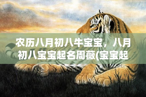 农历八月初八牛宝宝，八月初八宝宝起名周薇(宝宝起名周薇 八月初八新生命的启程，幸福与祝福共同绽放)