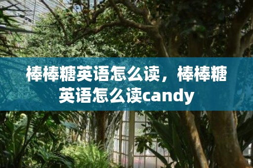 棒棒糖英语怎么读，棒棒糖英语怎么读candy