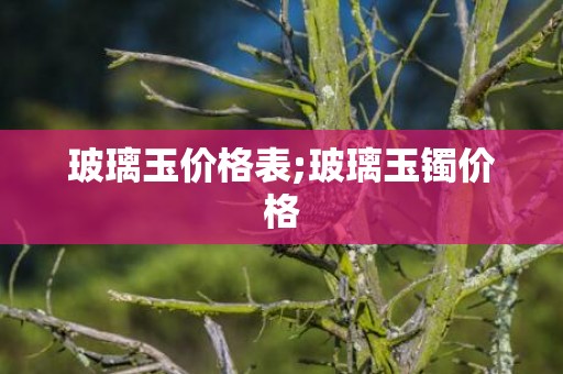 玻璃玉价格表;玻璃玉镯价格