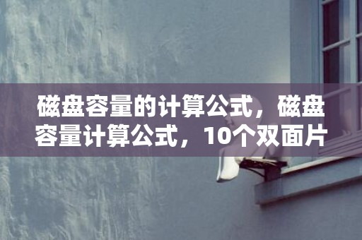 磁盘容量的计算公式，磁盘容量计算公式，10个双面片怎么算