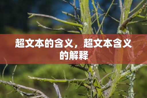 超文本的含义，超文本含义的解释