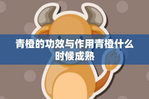 青橙的功效与作用青橙什么时候成熟