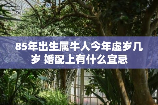 85年出生属牛人今年虚岁几岁 婚配上有什么宜忌
