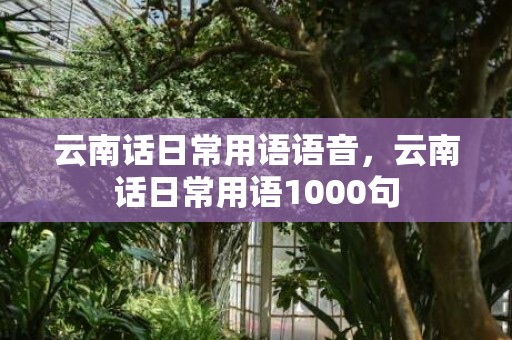 云南话日常用语语音，云南话日常用语1000句