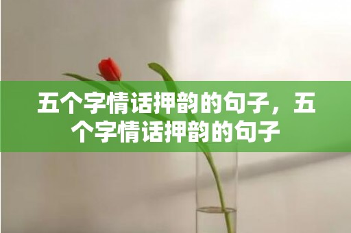 五个字情话押韵的句子，五个字情话押韵的句子