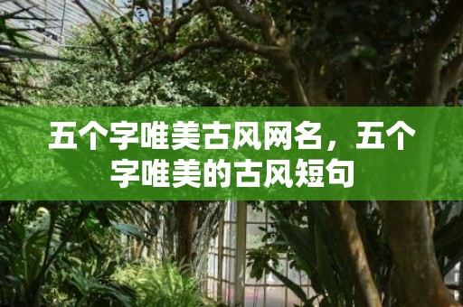 五个字唯美古风网名，五个字唯美的古风短句