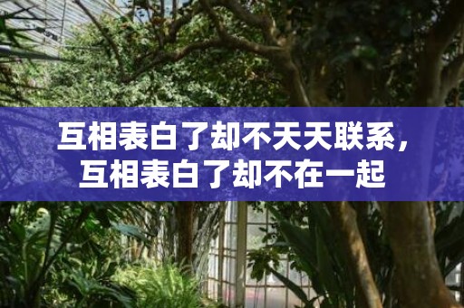 互相表白了却不天天联系，互相表白了却不在一起