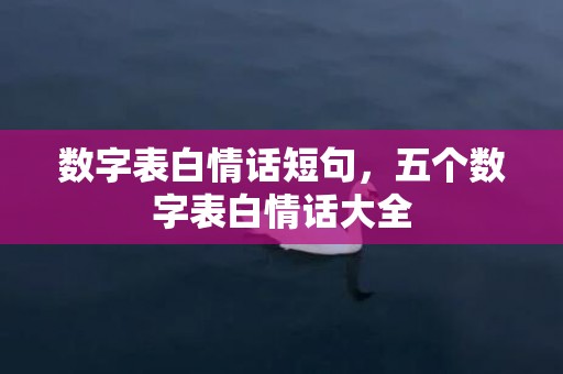 数字表白情话短句，五个数字表白情话大全