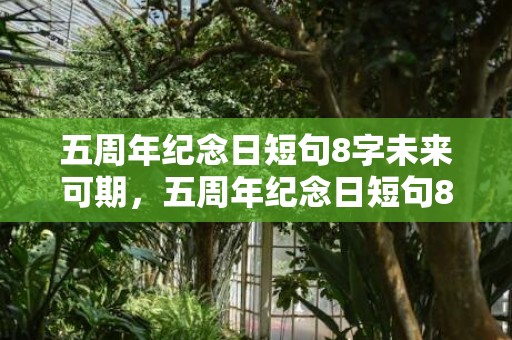 五周年纪念日短句8字未来可期，五周年纪念日短句8字祝福