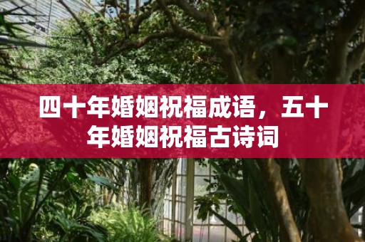 四十年婚姻祝福成语，五十年婚姻祝福古诗词