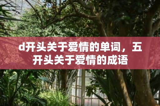 d开头关于爱情的单词，五开头关于爱情的成语