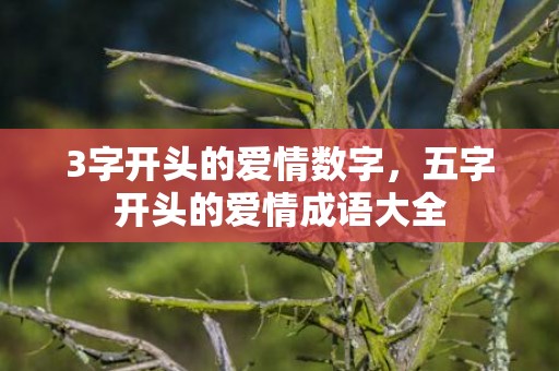 3字开头的爱情数字，五字开头的爱情成语大全
