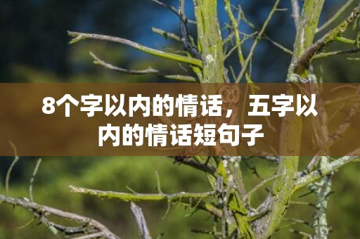 8个字以内的情话，五字以内的情话短句子