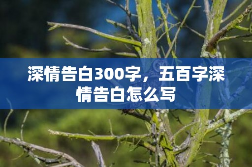 深情告白300字，五百字深情告白怎么写