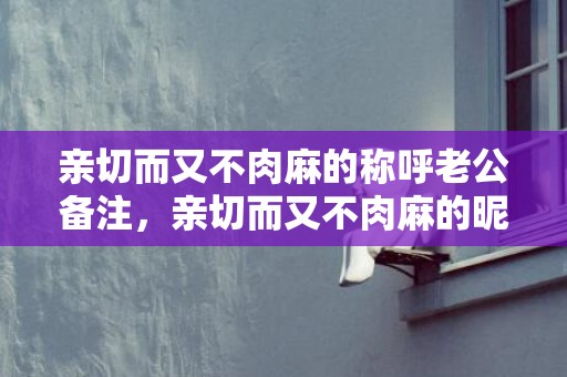 亲切而又不肉麻的称呼老公备注，亲切而又不肉麻的昵称