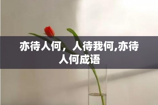 亦待人何，人待我何,亦待人何成语