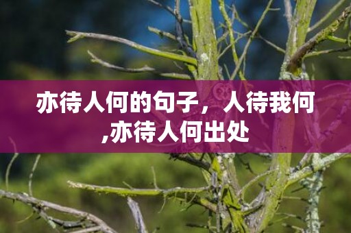亦待人何的句子，人待我何,亦待人何出处