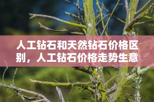 人工钻石和天然钻石价格区别，人工钻石价格走势生意社