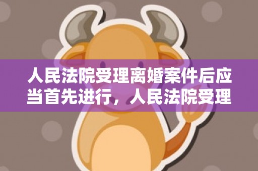 人民法院受理离婚案件后应当首先进行，人民法院受理离婚案条件