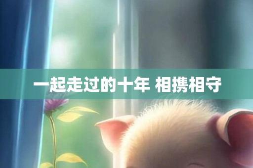 一起走过的十年 相携相守