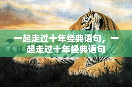 一起走过十年经典语句，一起走过十年经典语句
