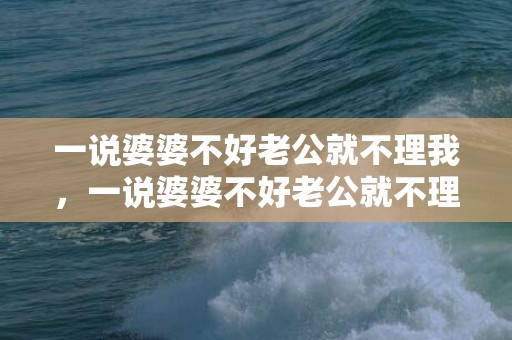 一说婆婆不好老公就不理我，一说婆婆不好老公就不理我