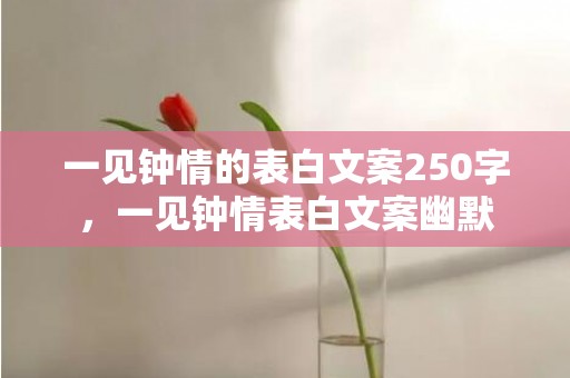 一见钟情的表白文案250字，一见钟情表白文案幽默