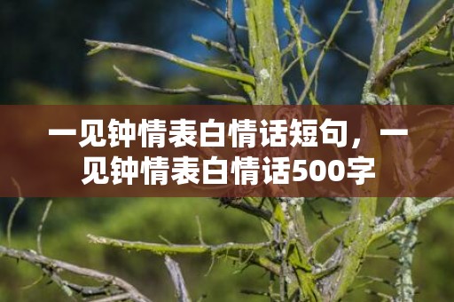 一见钟情表白情话短句，一见钟情表白情话500字