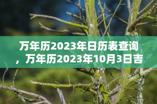 万年历2023年日历表查询，万年历2023年10月3日吉时