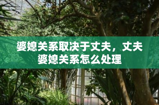 婆媳关系取决于丈夫，丈夫婆媳关系怎么处理