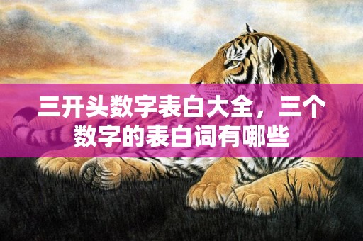 三开头数字表白大全，三个数字的表白词有哪些