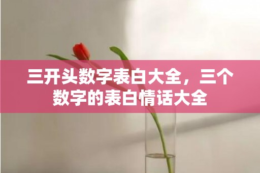 三开头数字表白大全，三个数字的表白情话大全