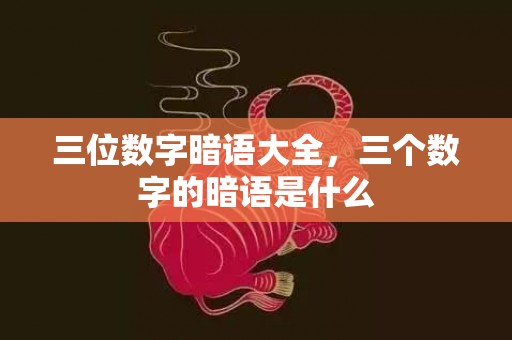 三位数字暗语大全，三个数字的暗语是什么