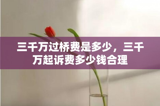 三千万过桥费是多少，三千万起诉费多少钱合理