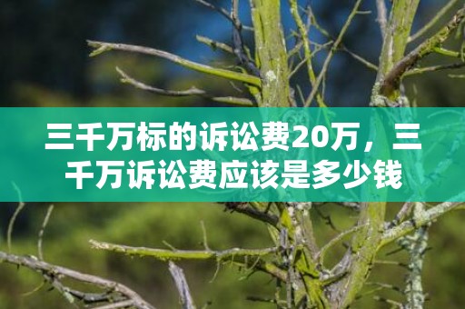 三千万标的诉讼费20万，三千万诉讼费应该是多少钱