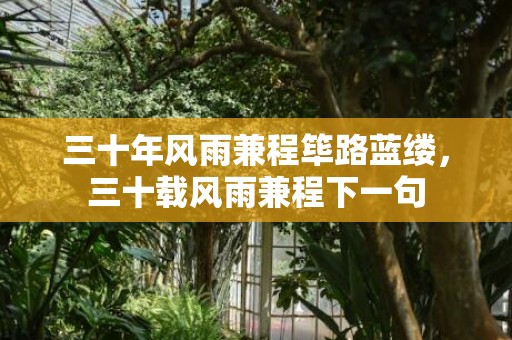 三十年风雨兼程筚路蓝缕，三十载风雨兼程下一句