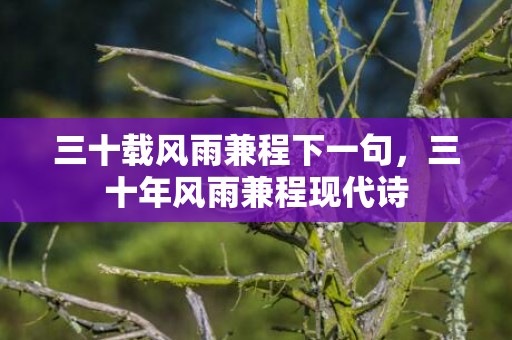 三十载风雨兼程下一句，三十年风雨兼程现代诗