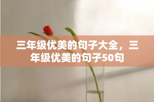 三年级优美的句子大全，三年级优美的句子50句