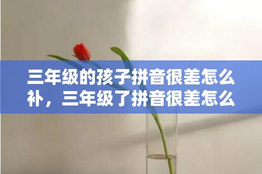 三年级的孩子拼音很差怎么补，三年级了拼音很差怎么补