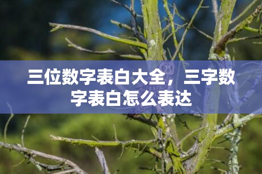 三位数字表白大全，三字数字表白怎么表达