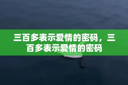 三百多表示爱情的密码，三百多表示爱情的密码
