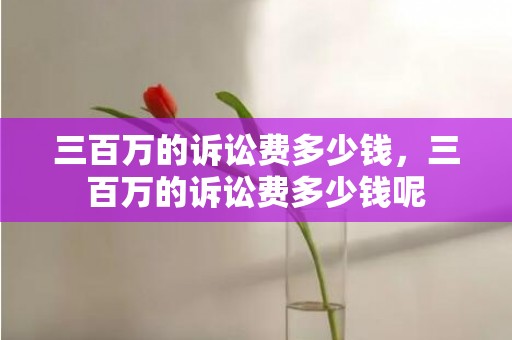 三百万的诉讼费多少钱，三百万的诉讼费多少钱呢
