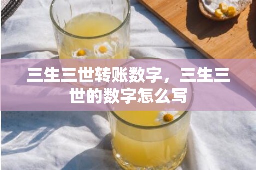 三生三世转账数字，三生三世的数字怎么写