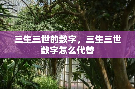 三生三世的数字，三生三世数字怎么代替