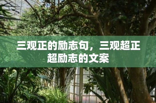 三观正的励志句，三观超正超励志的文案