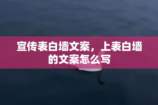 宣传表白墙文案，上表白墙的文案怎么写