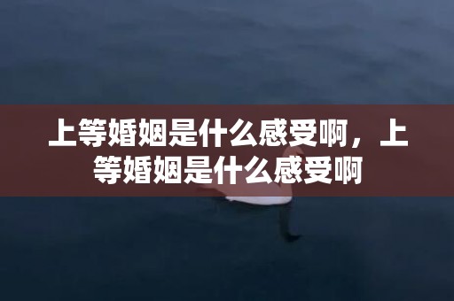 上等婚姻是什么感受啊，上等婚姻是什么感受啊