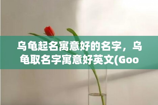 乌龟起名寓意好的名字，乌龟取名字寓意好英文(Good Omen for Naming with Turtle Find the Perfect Name for Your Baby Pet, Boosting Good Fortune and Longevity)
